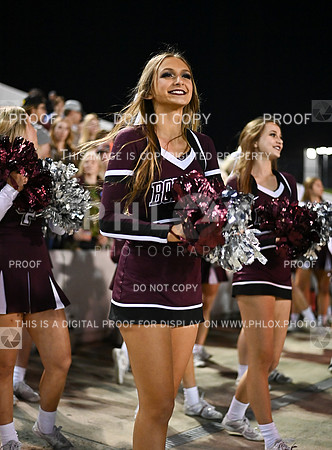 DLS_1203