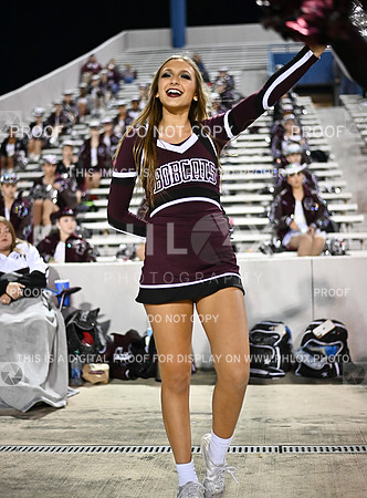 DLS_1361