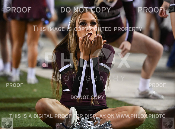 DLS_9626