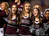 DLS_2141