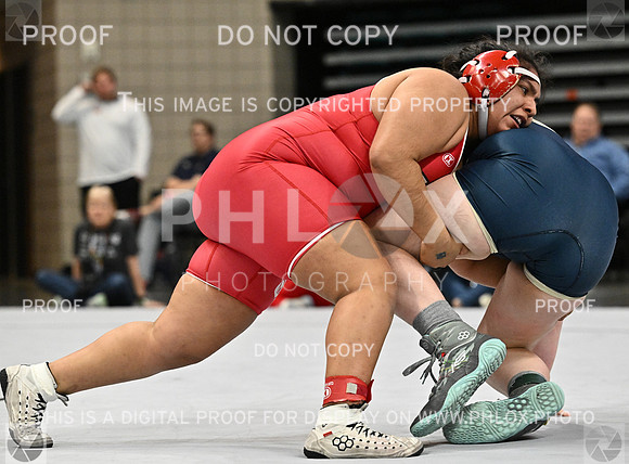 DLS_4618