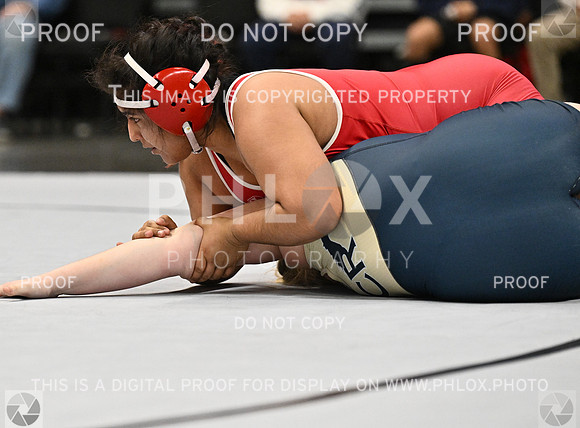 DLS_4621