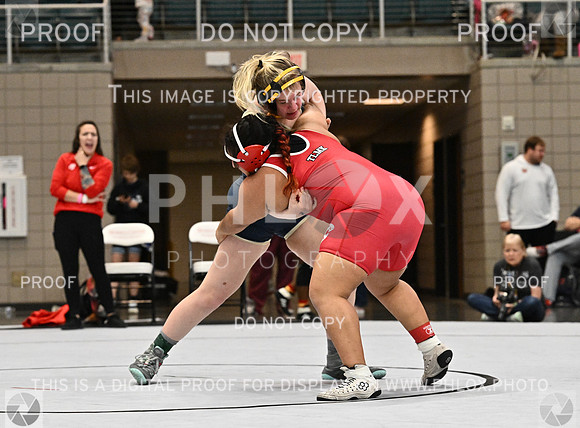 DLS_4604