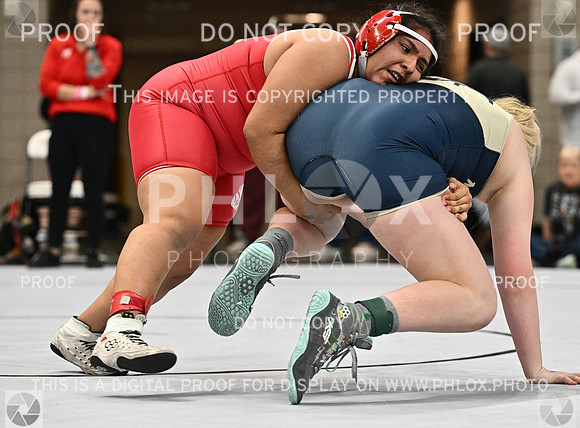DLS_4614
