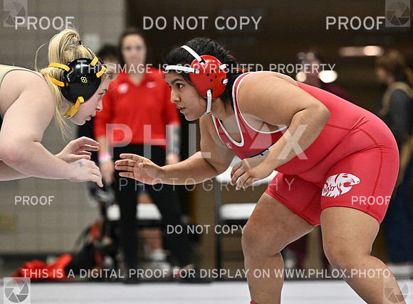 DLS_4584
