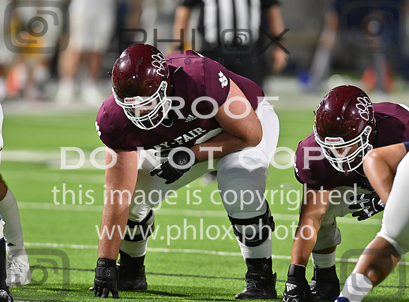 DLS_4016
