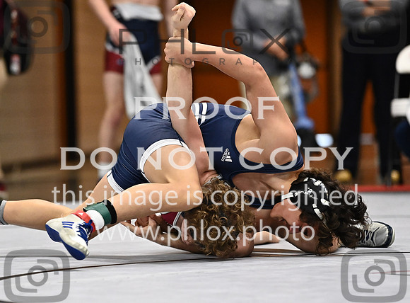 DLS_0866