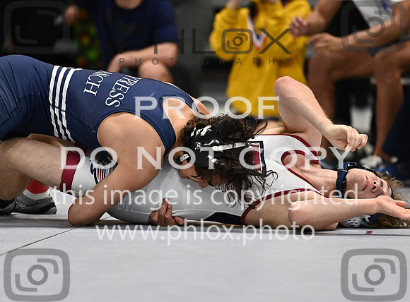 DLS_3015