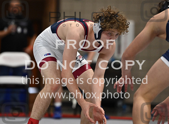 DLS_3035