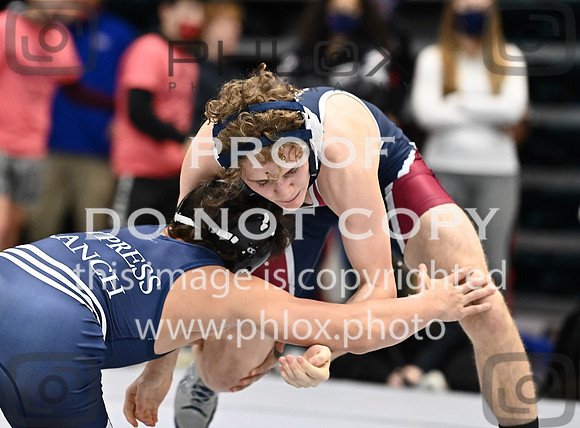 DLS_0817