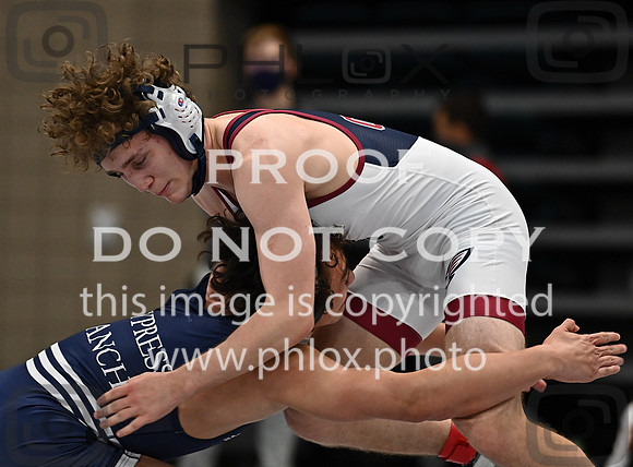 DLS_3082