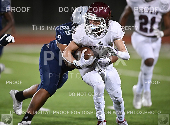 DLS_0728