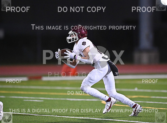 DLS_0717