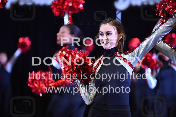 RAY_0264