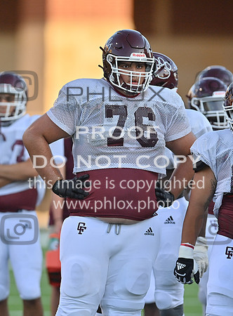 DLS_7031