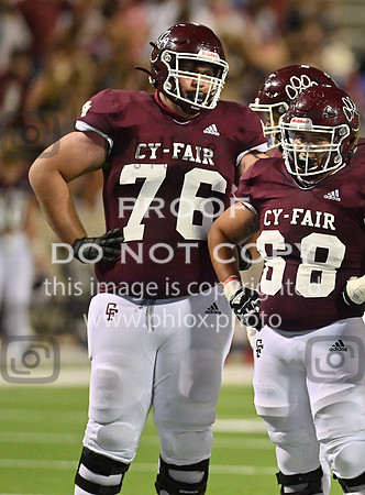 DLS_8282