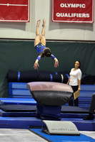 D85_0691