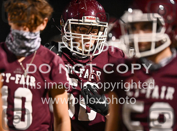 DLS_0877