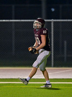 DLS_9530