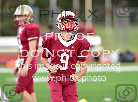 TOM_3161-2