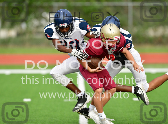 TOM_3302-2
