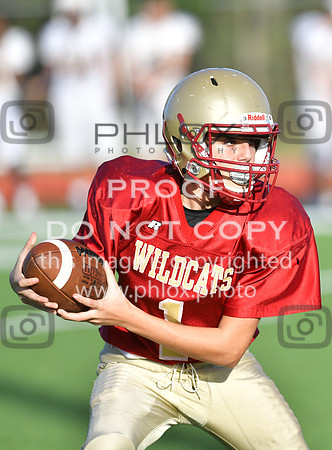 TOM_9187
