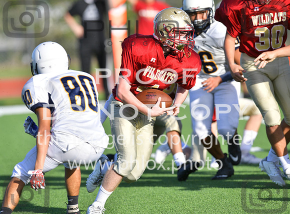 TOM_9159