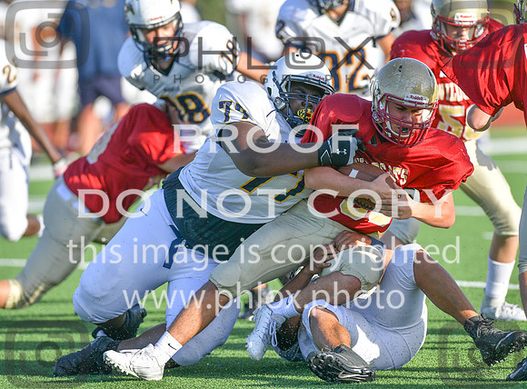 TOM_9175