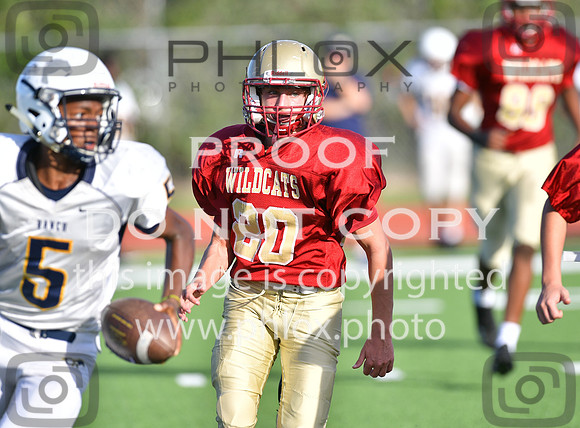 TOM_9021