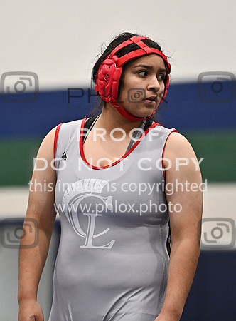 DLS_5425