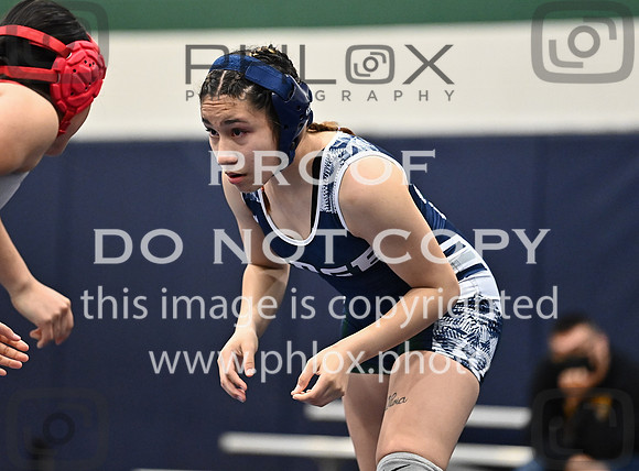 DLS_5372