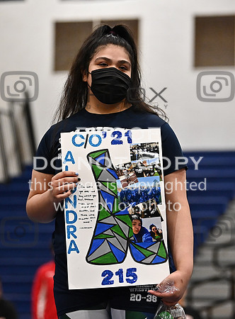 DLS_5290