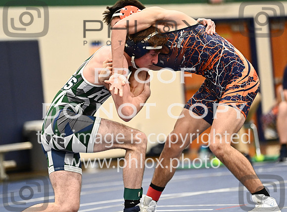 DLS_5964