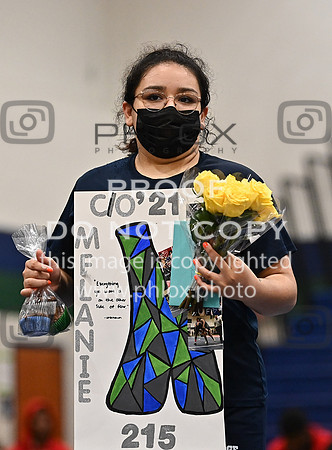 DLS_5291