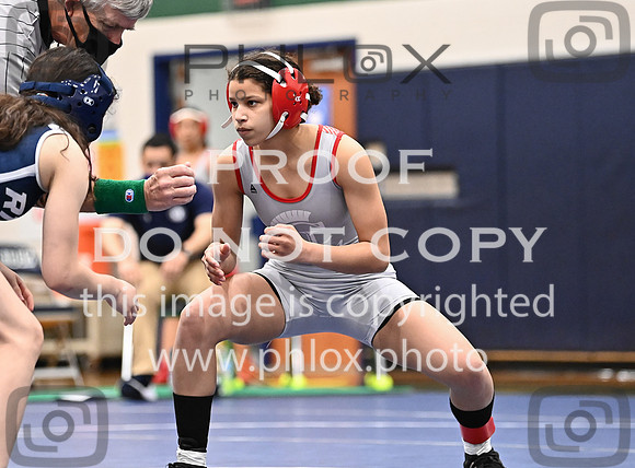 DLS_5327