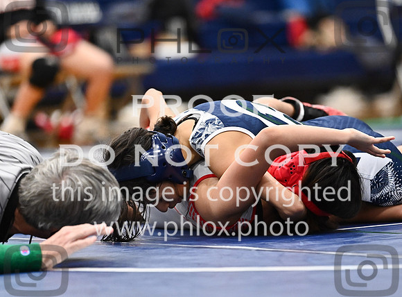 DLS_5319