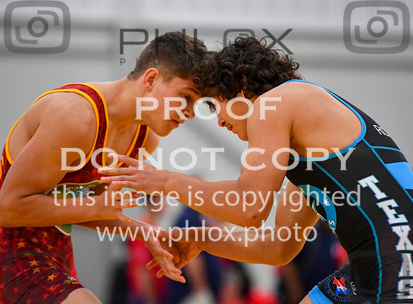 FDS_5339