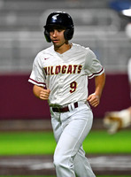 JO6_4491