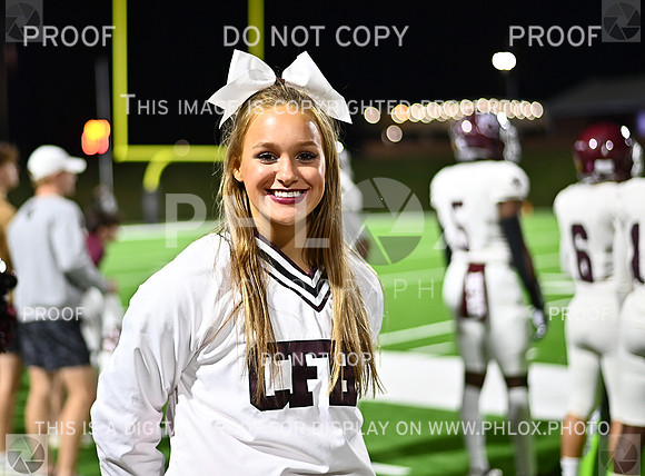 DLS_3195