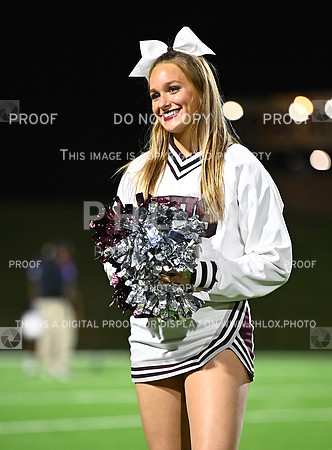 DLS_2381