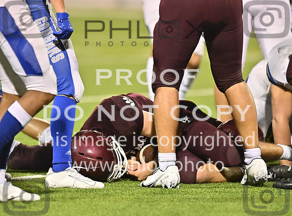 DLS_2509
