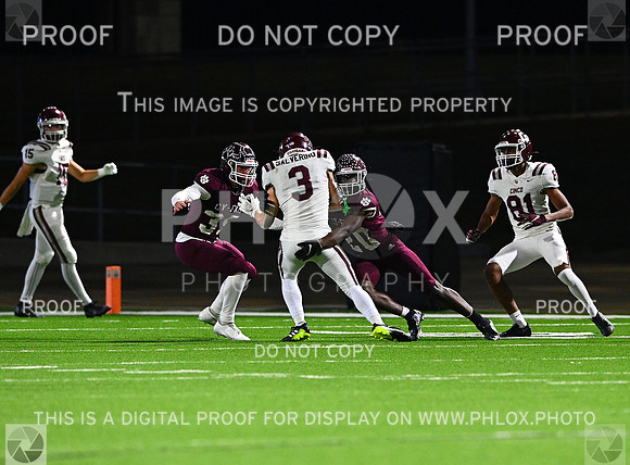 DLS_8205