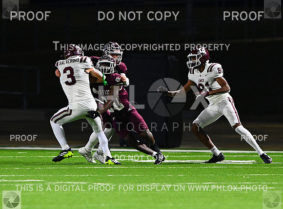 DLS_8207