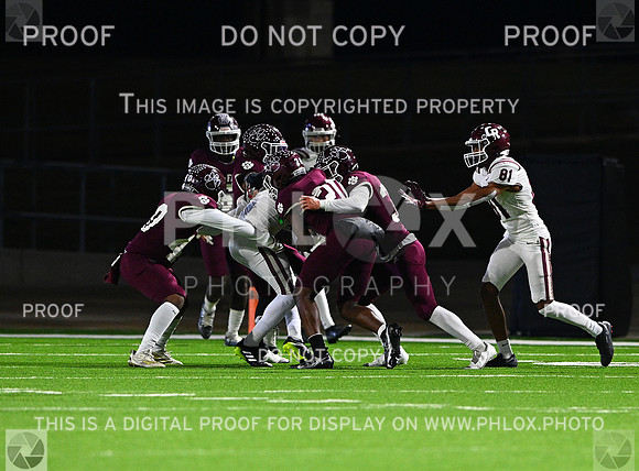 DLS_8213