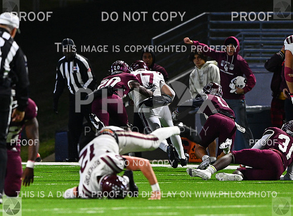 DLS_8256