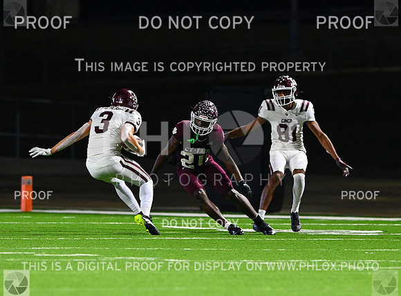 DLS_8204