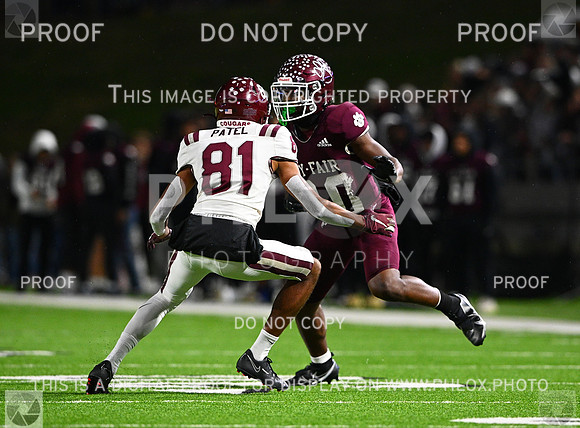 DLS_7719-2