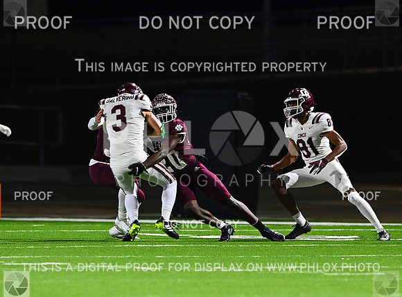 DLS_8206