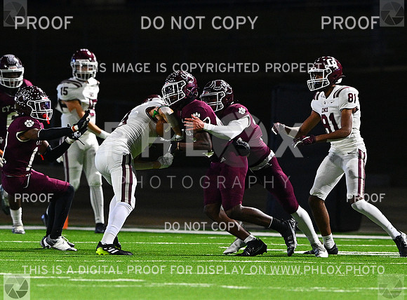 DLS_8210