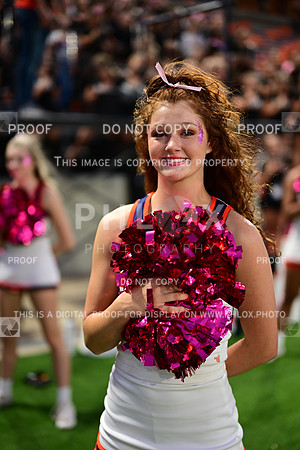 TOM_2195